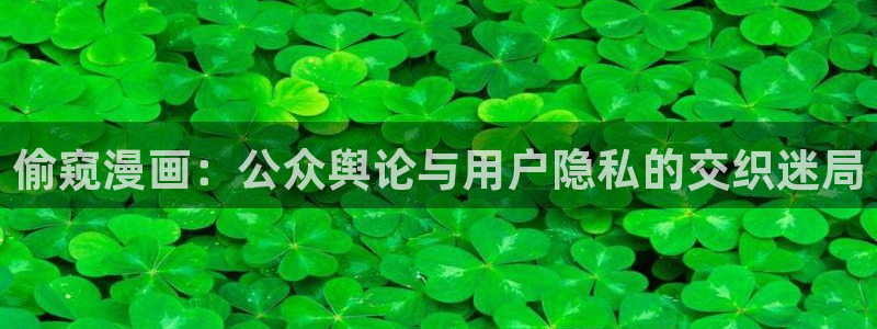 韩漫包子漫画：偷窥漫画：公众舆论与用户隐私的交织迷局